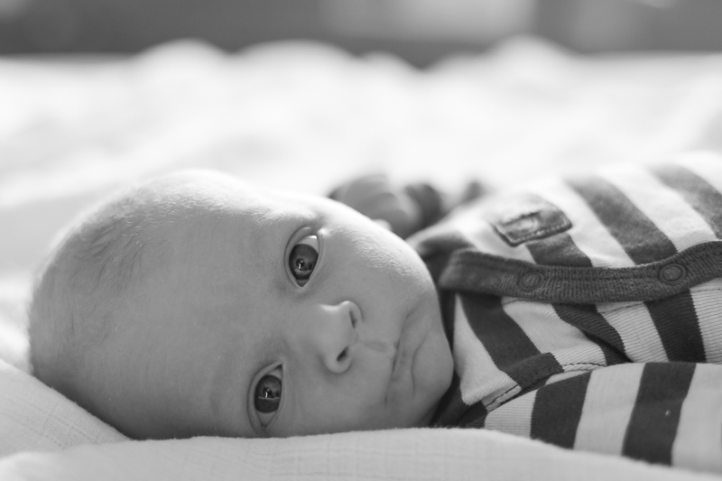 Close up newborn baby boy in striped shirt