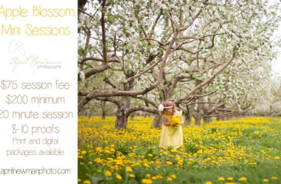 Spring mini session announcement April Newman Photography