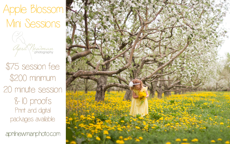 Spring mini session announcement April Newman Photography