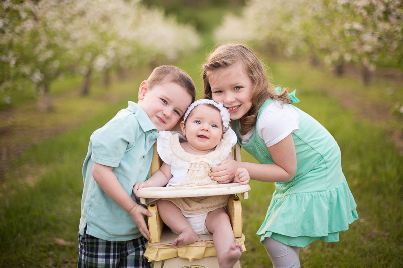 Baby girl with big brother and sister in the apple blossoms