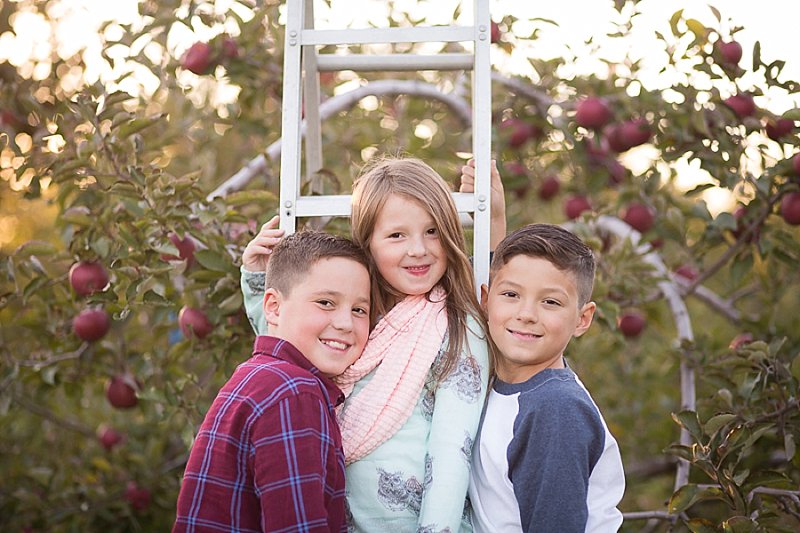 Family photos in Lindsey's Apple Orchard
