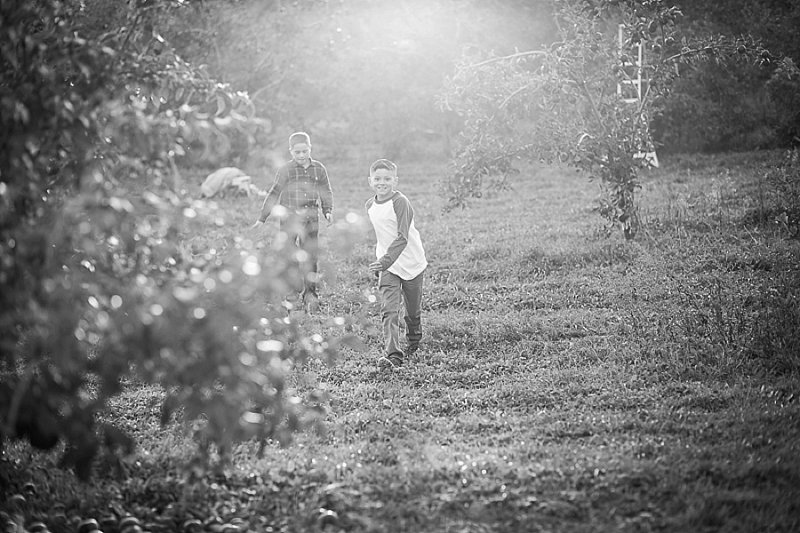 Family photos in Lindsey's Apple Orchard