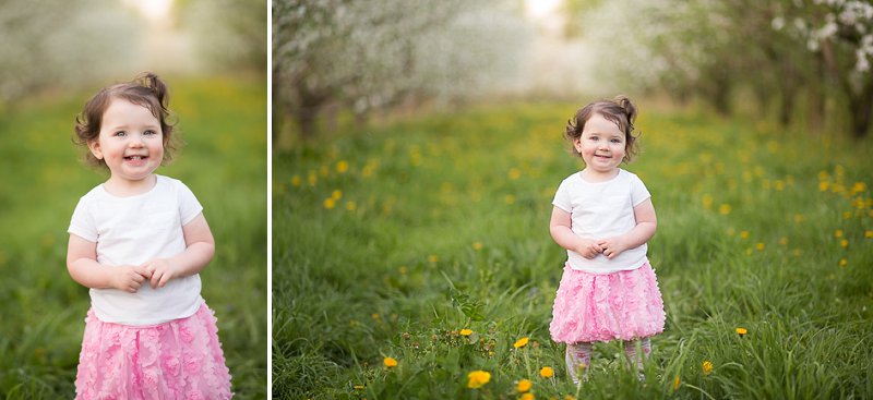 Family photos in Lindsey's Apple Orchard in Rexford New York