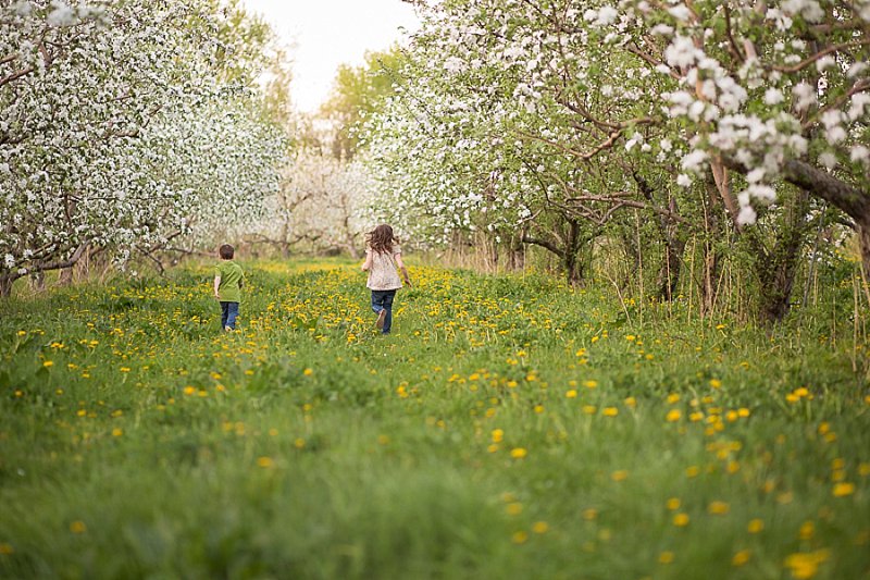 Family photos in Lindsey's Apple Orchard in Rexford New York