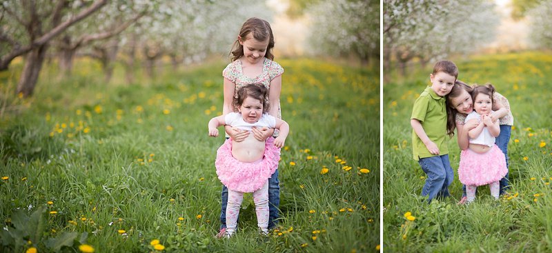 Family photos in Lindsey's Apple Orchard in Rexford New York