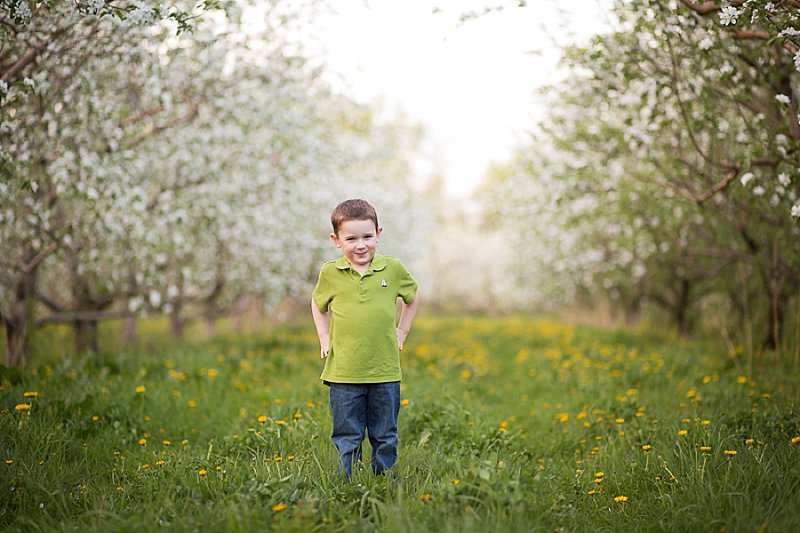 Family photos in Lindsey's Apple Orchard in Rexford New York