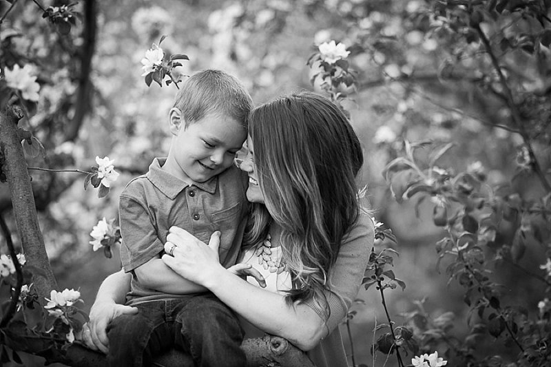 Rexford, New York family photography in Lindsey's Apple Orchard