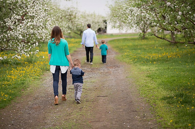 Rexford, New York family photography in Lindsey's Apple Orchard