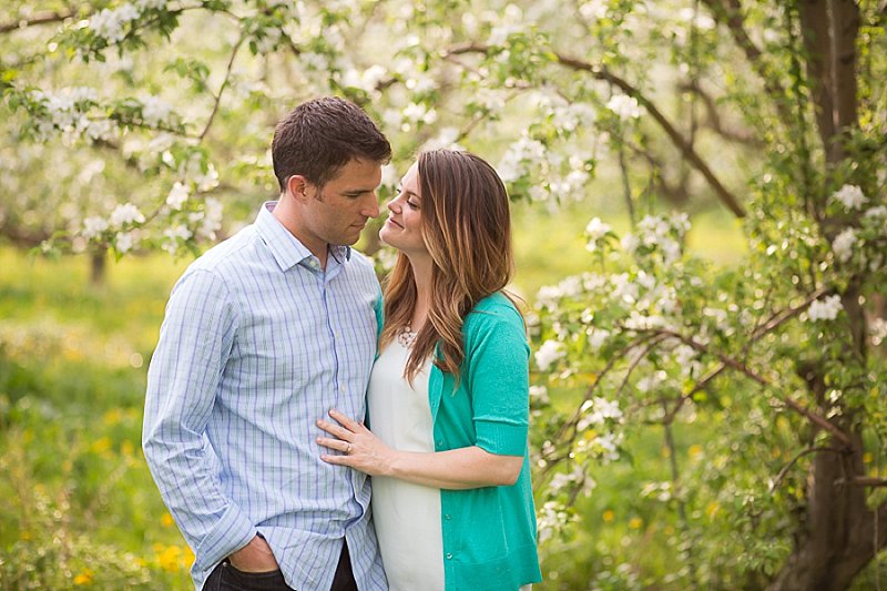 Rexford, New York family photography in Lindsey's Apple Orchard