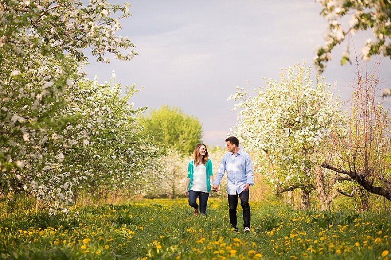 Rexford, New York family photography in Lindsey's Apple Orchard