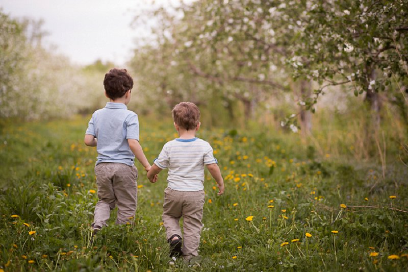 Outdoor children's photos at Lindsey's Apple Orchard in Rexford, NY