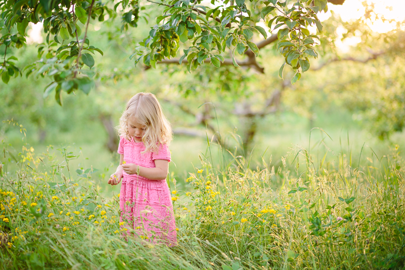 picking flowers at lindseys apple orchard