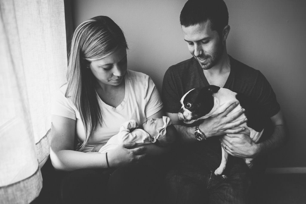 dog about to lick baby head black and white