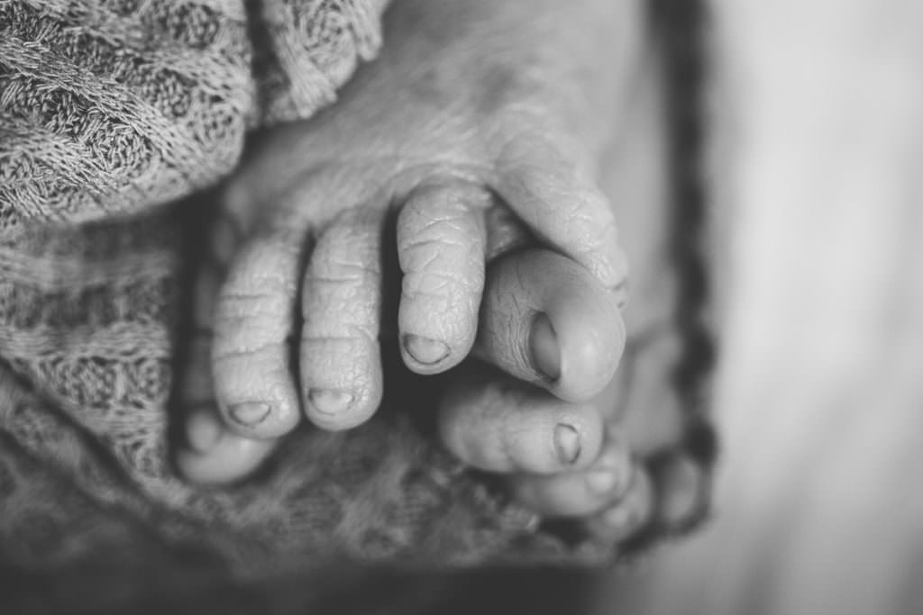 close up of newborn baby toes