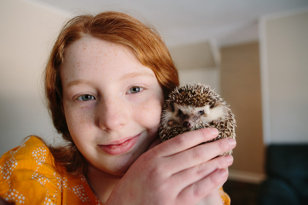 little girl holding pet hedgehog