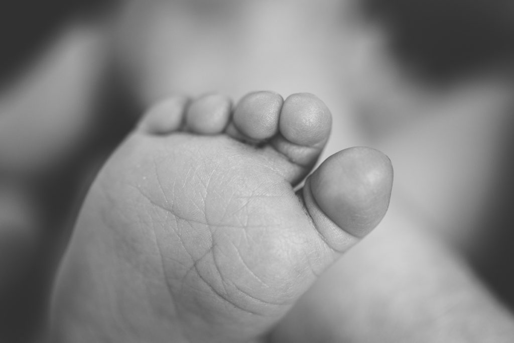 macro shot of newborn baby feet