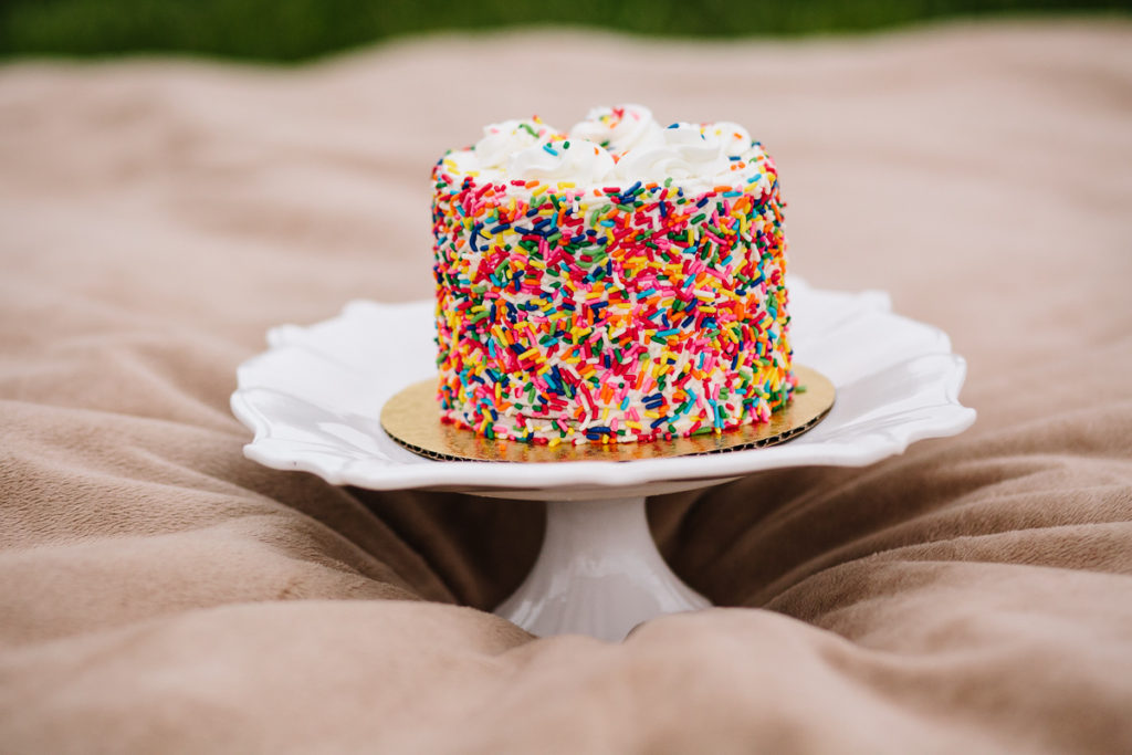 cake with sprinkles for cake smash Clifton Park NY