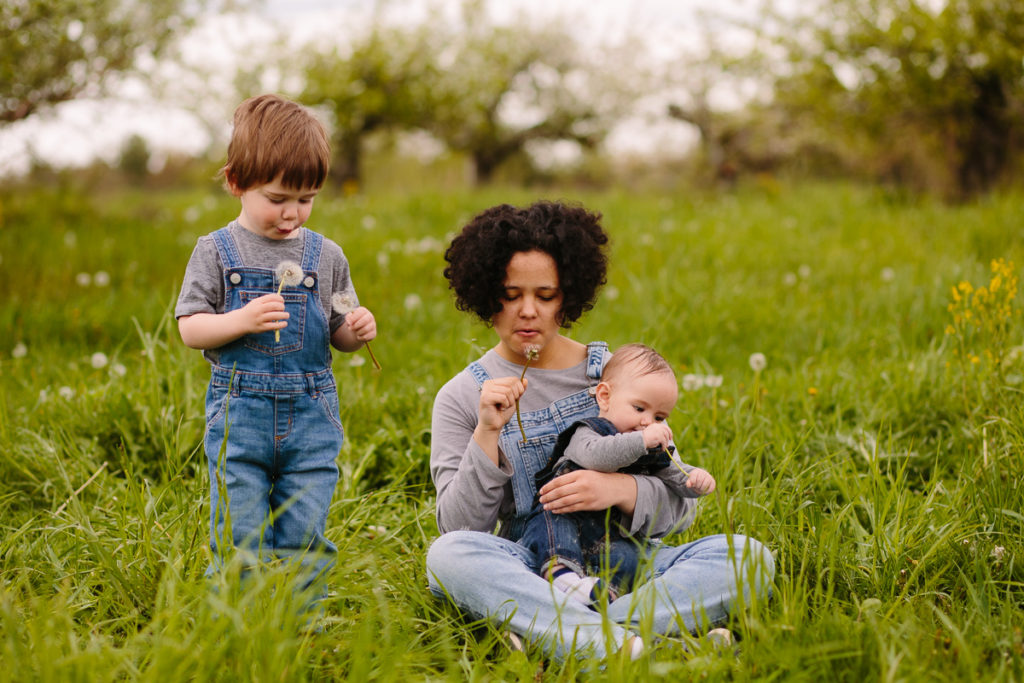 three siblings blowing dandelions Clifton Park NY baby photographer