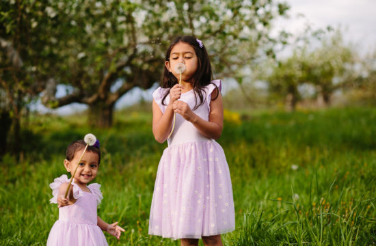 Saratoga NY Family Photographer girls blowing dandelions
