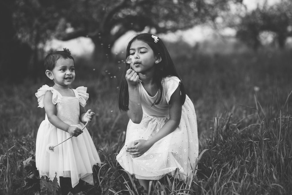 black and white image blowing dandelions