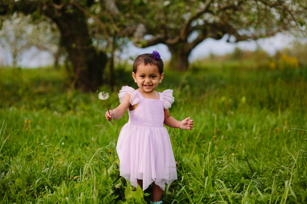baby girl in purple dress holding dandelion Saratoga NY
