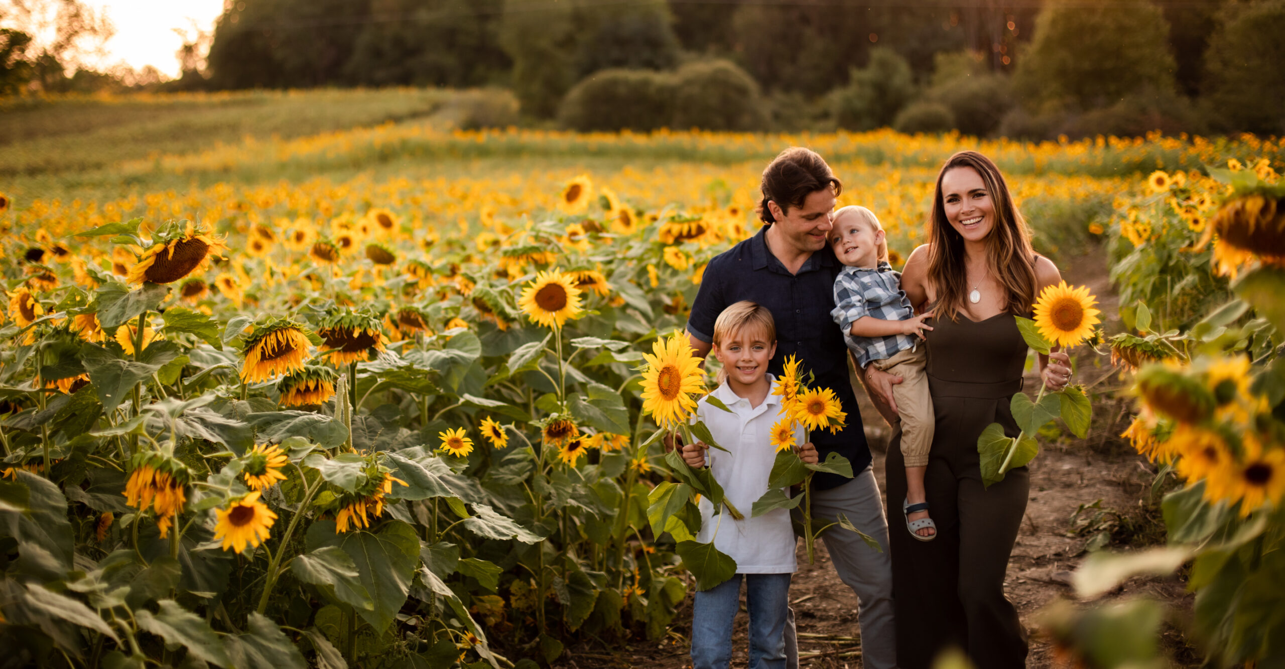 Floral Enchantment: A Journey Through The Gardens Of Clifton Park, NY